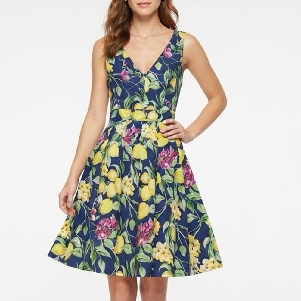 Betsey Johnson Blue Lemon Floral V-Neck Fit & Flare Party Dress Size 8